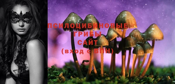 MDMA Бородино